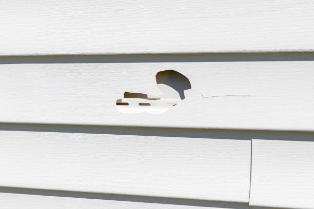 Beulah, ND Siding Installation & Repair Company